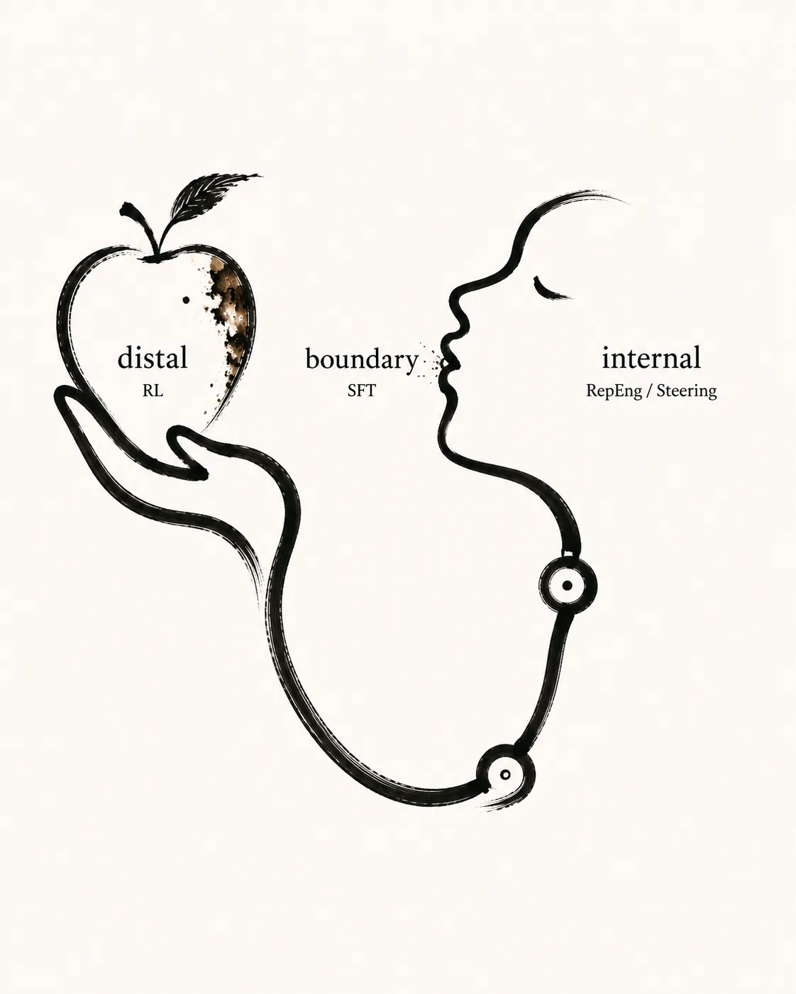 One unbroken ink-brush line on cream. It starts as a hand holding a speckled, rotten apple on the left, loops down into the tubing of a stethoscope with two round ends, and rises on the right into a face in profile. Three labels sit along the path: at the apple, 'distal' over 'RL'; at the mouth, 'boundary' over 'SFT'; at the head, 'internal' over 'RepEng / Steering'. It reads as a spectrum of training signals, from far outside the model to listening directly to its internal states.